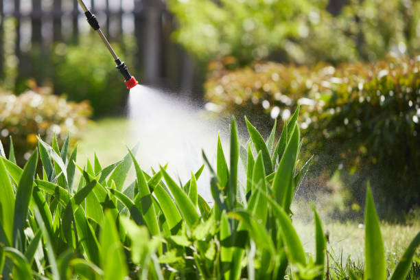 24/7 Emergency Mosquito Control experts in Kenmar, PA